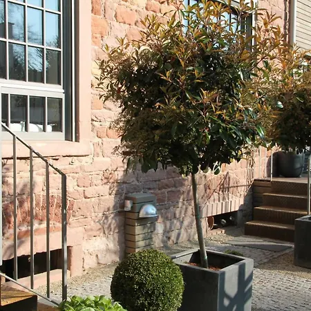 Junior The Backyard Tby 01 *