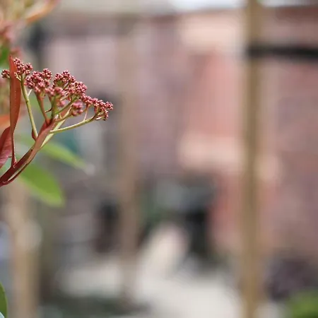 아파트 Junior The Backyard Tby 01