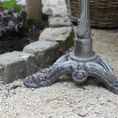 Junior The Backyard Tby 01 트리어