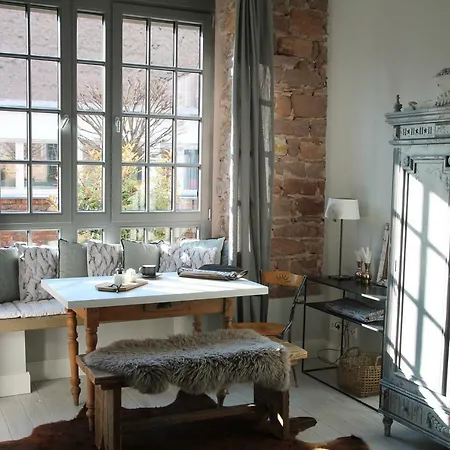 Junior The Backyard Tby 01 Apartamento