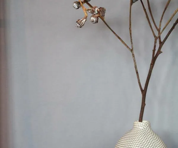 Junior The Backyard Tby 01 * 트리어