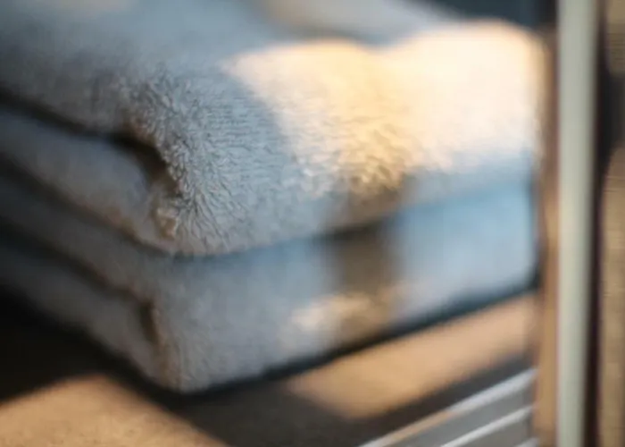 Junior The Backyard Tby 01 Tréveris