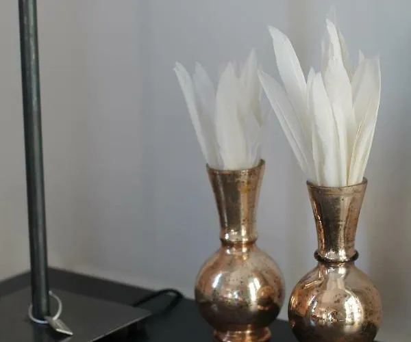 Junior The Backyard Tby 01 트리어