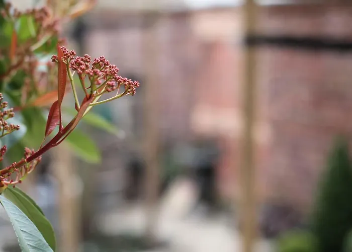 아파트 Junior The Backyard Tby 01