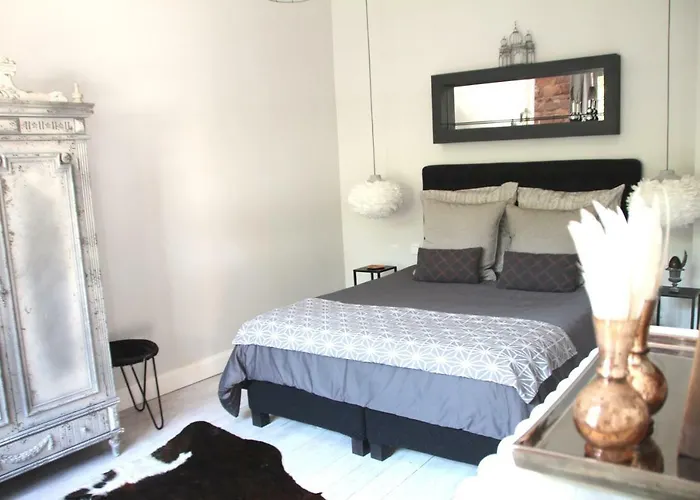 Apartment Junior The Backyard Tby 01 Trier